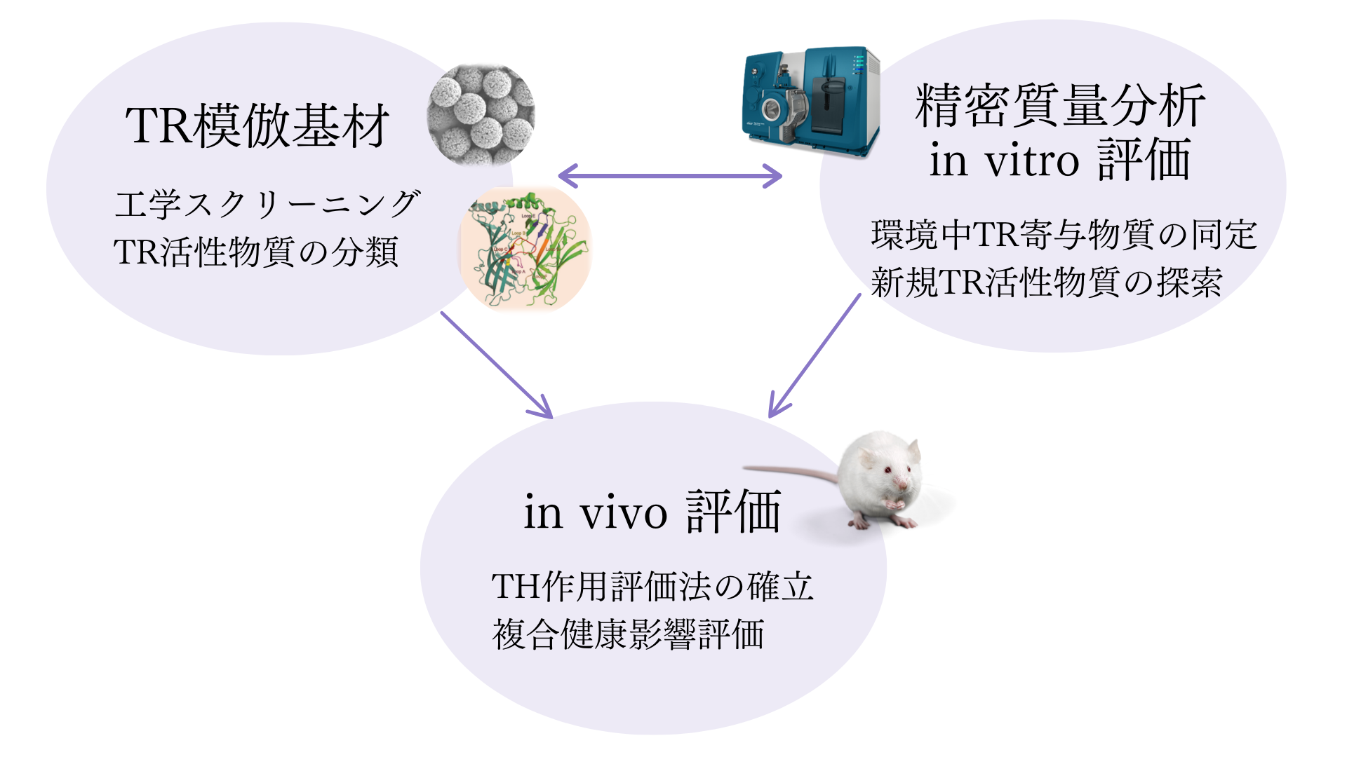 目的推進費