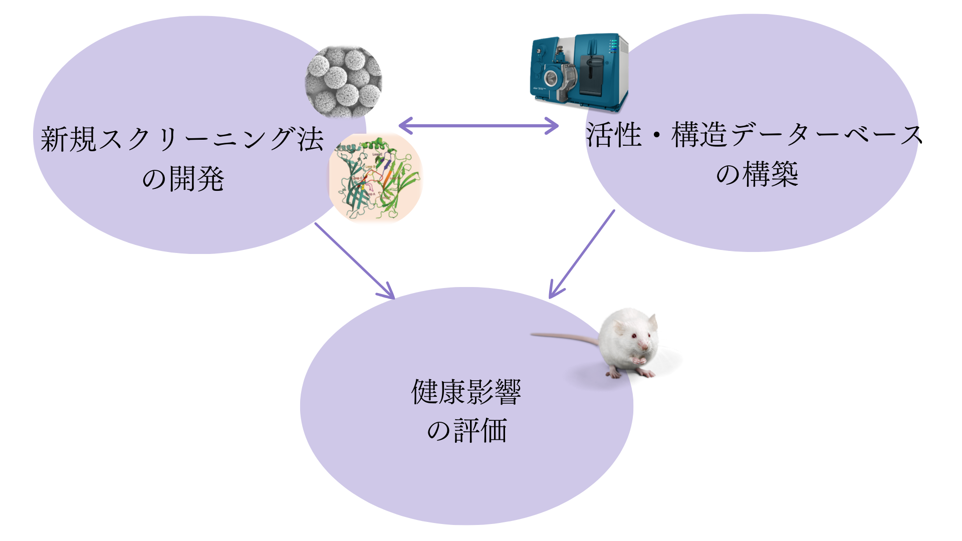 目的２推進費